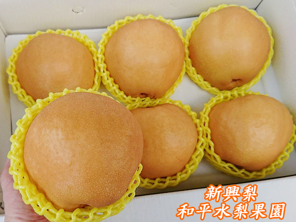 訳あり品送料無料 和梨5?箱 幸水梨 豊水梨 南水梨 あきづき梨 新高梨 新興梨 megjc.gov.jm